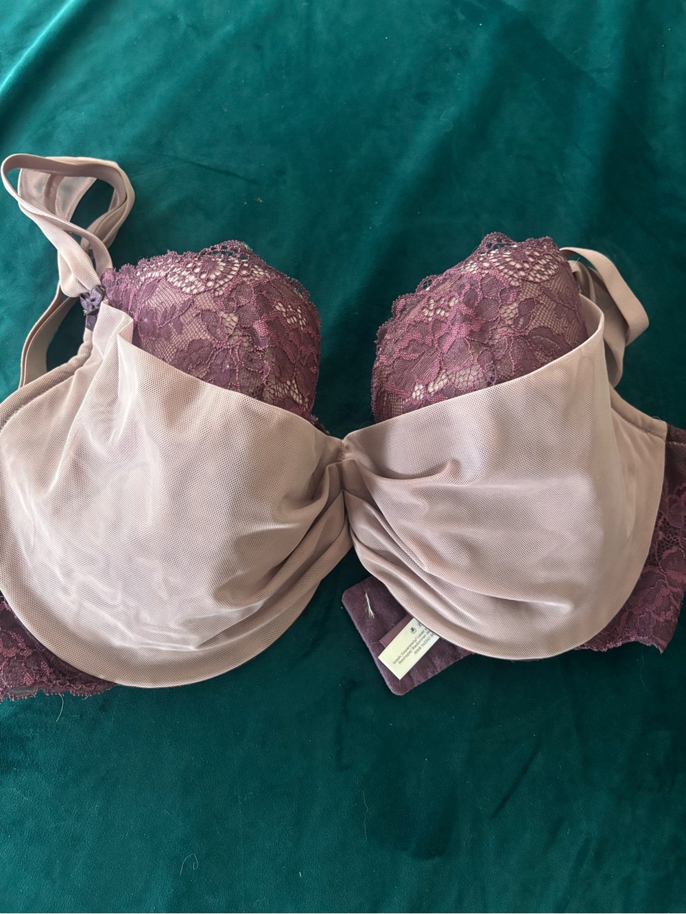 Adore Me 40G Plum Lace & Taupe Mesh Bra — Women’s Supportive Intimates
